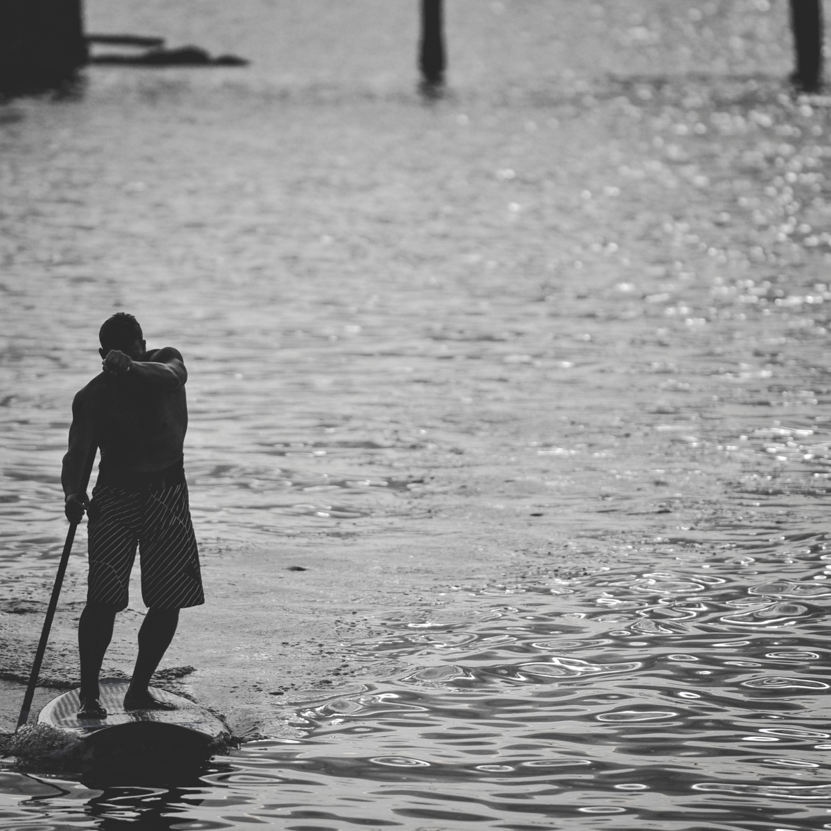 Découvrez l'activité de Stand Up Paddle dans la baie de Vancouver