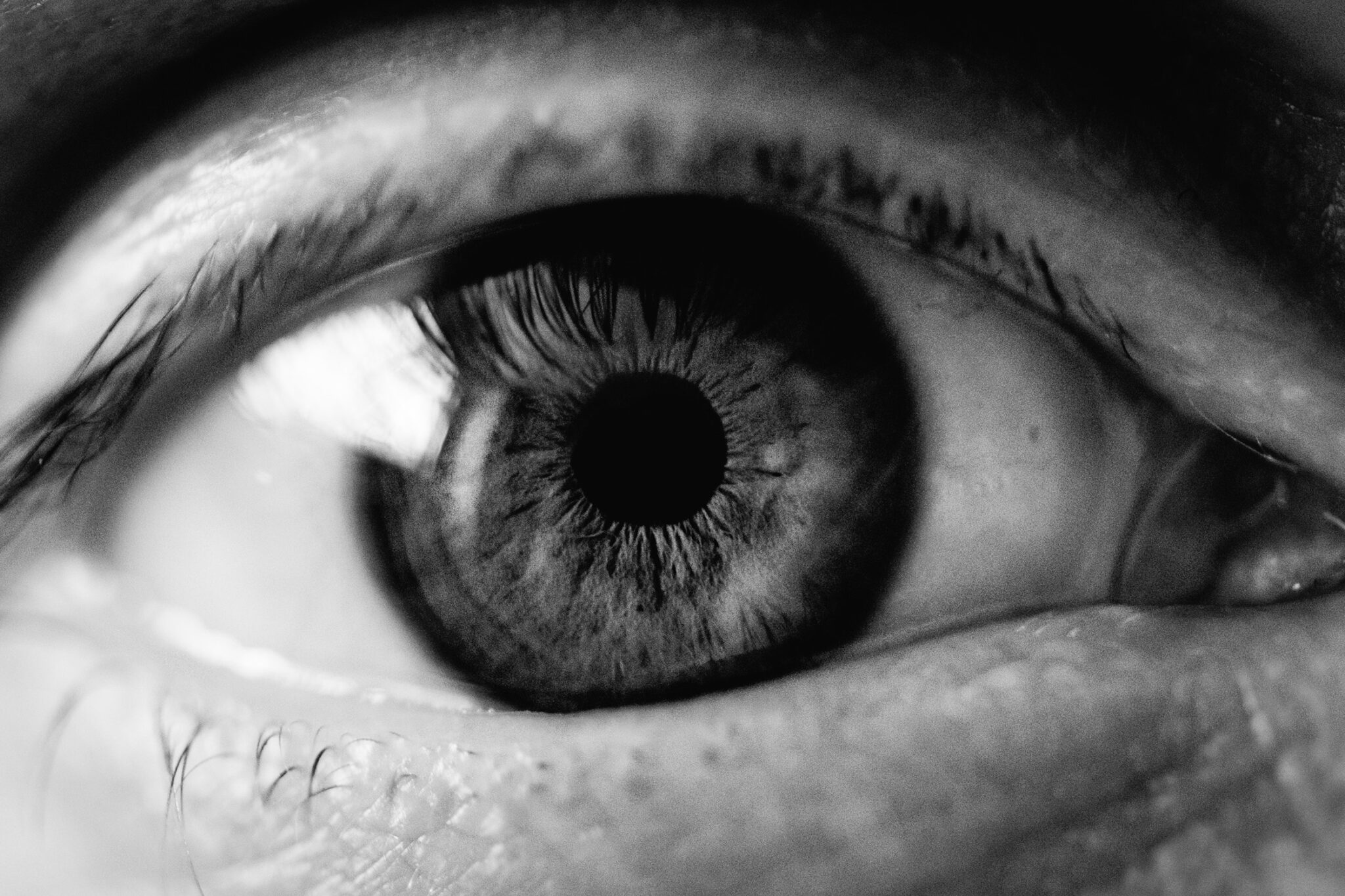 L'oeil de S