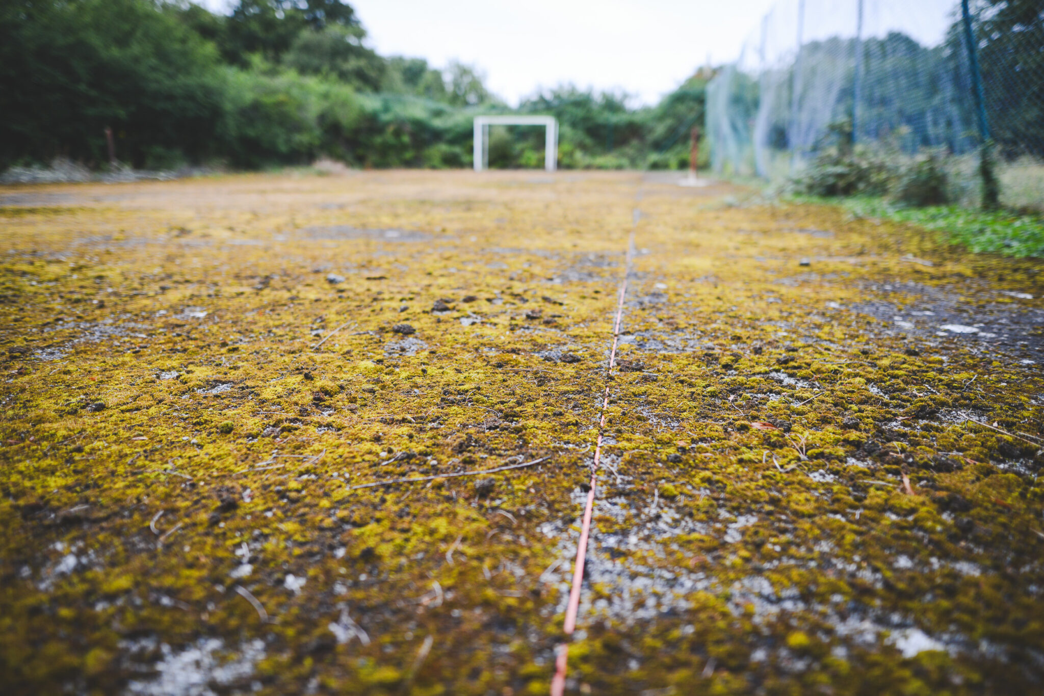 Ligne de terrain de foot