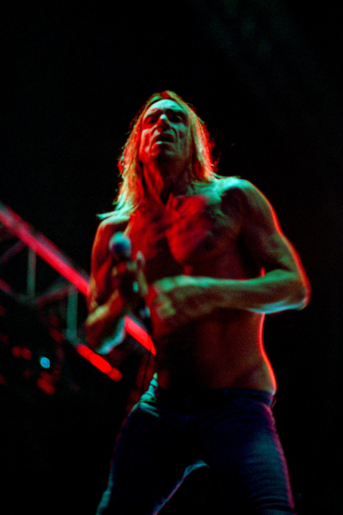 Iggy Pop and The Stooges