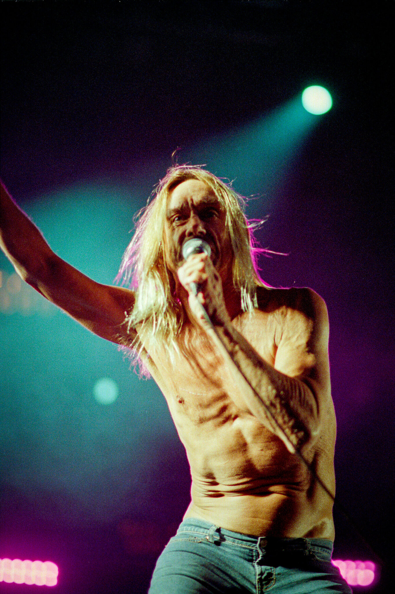 Iggy Pop fixant l'objectif avec un regard provocateur et sauvage en plein concert.